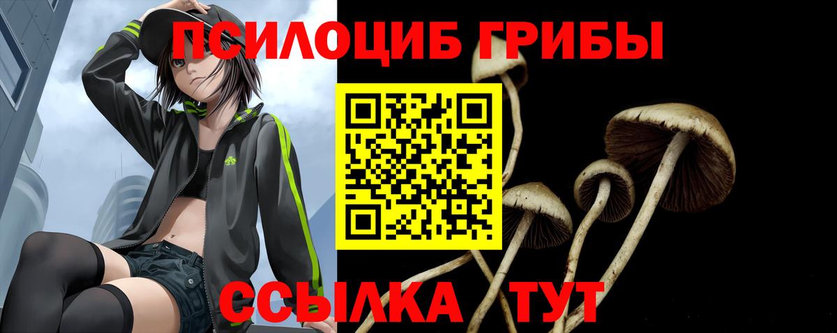 Галлюциногенные грибы ЛСД  Вход с VPN  Сертолово  Псилоцибиновые грибы мухоморы 